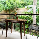 Zen Canto Tuuch :: May The Jungle Be With You Сasa de vacaciones *