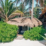 Orchid House Tulum Beach (Adults Only)