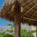 Hotel Niwa 4*