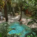 (adults Only) Tulum