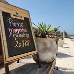 Pal Mar Glamtainer Tulum