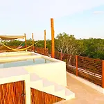 Relax Family Friendly In The In The Jungle - Pools & Cenotes