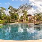 Relax Family Friendly In The In The Jungle - Pools & Cenotes
