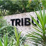 Tribu 202