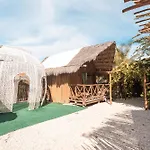 Luxe Villa In Tulum 8Bd Wi-Fi Ac Pool Gym