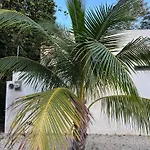 Sotik House