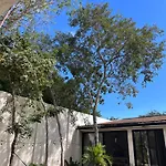 Villa Sotik House