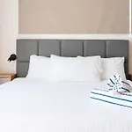 Comfortable Studio In Elena