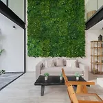 Moderno Loft Temple Ii A112 By Sandy Powerful * Tulum