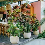 Mi Amor By La Zebra, An Slh Hotel (Adults Only)