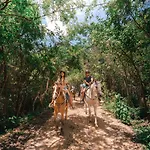 Energy Tulum Holistic Ranch