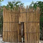 Pepem Holistic Experience - Peaceful Retreat Near (adults Only) Villa Tulum