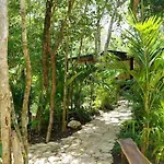 Penthouse In Tulum