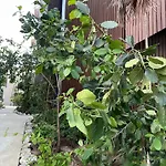 Ova Apartamento