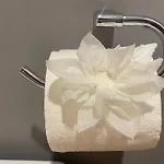 Ova Apartamento *