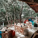 Divine Embodi Retreat