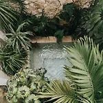 Design Casa Nautilus