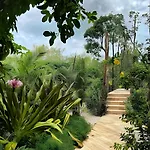 Oasis Yaaxlum