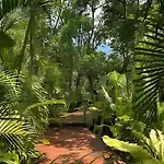 Oasis Yaaxlum *