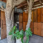 Meteora Stay & Coffeehouse Tulum