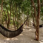 Apartamento Lux Jungle Near