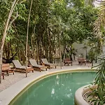 Lux Jungle Near Apartamento Tulum