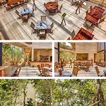Jungle 4*