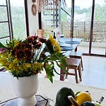 Jungle Hotel