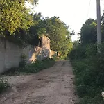 Barefoot Jungle Studios