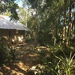 Barefoot Jungle Studios