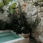 Tropical Design Dream With Private Pool Tulum