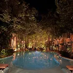 2 Bedroom Jungle In La Veleta - Palalma Casa