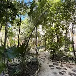 2 Bedroom Jungle In La Veleta - Palalma Casa Tulum