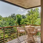 Classy 1br On Private Cenote Big Gym Roof Pool