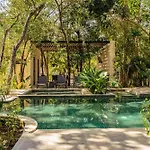 Jungle Serenity