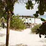 Casa Violeta