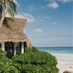Casa Violeta 3*