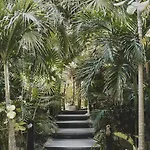 Casa Violeta Hotel 3*