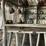 Hotel Casa Violeta