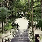 Casa Violeta Hotel 3*