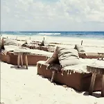 Casa Violeta Hotel Tulum