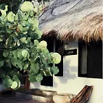 Casa Violeta 3*