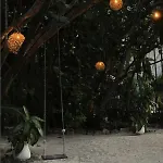 Casa Violeta