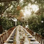 Hotel Casa Violeta