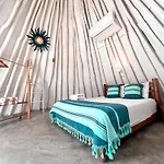 Mimosa Tulum