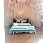 Mimosa Tulum