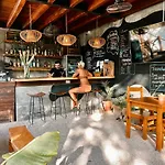 Mimosa Tulum