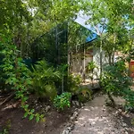 Chay Glass Jungle House