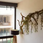 Great Location, Pool And Gym