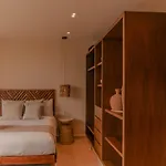 Peregrina 317 1-bedroom *
